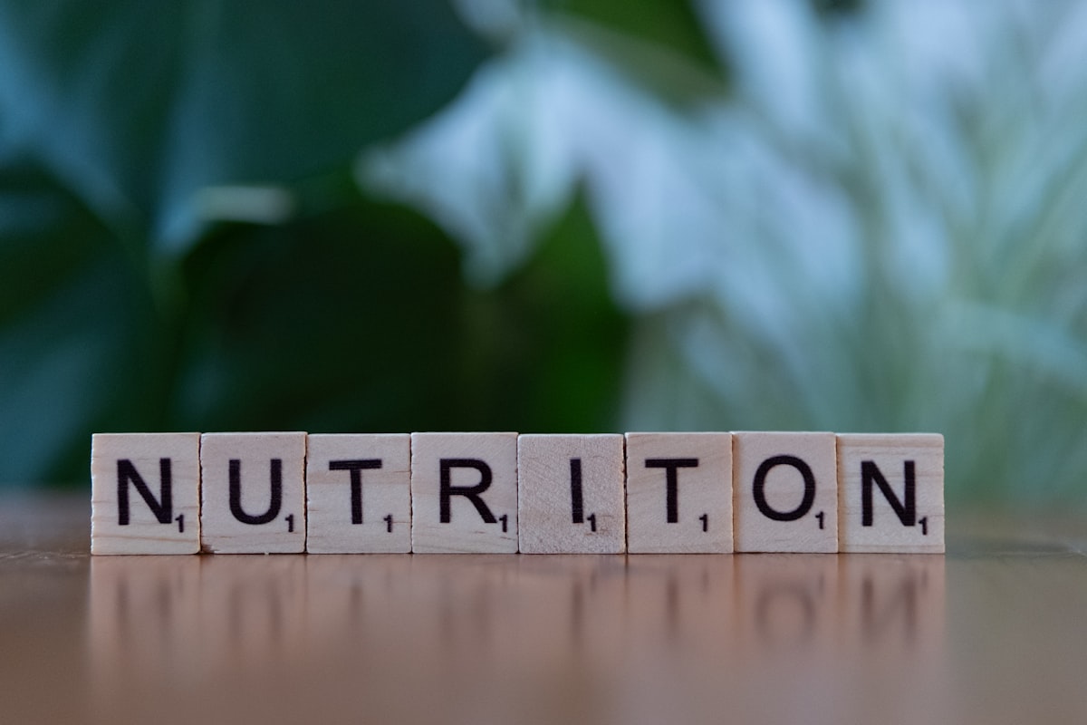 Hábitos alimentares saudáveis